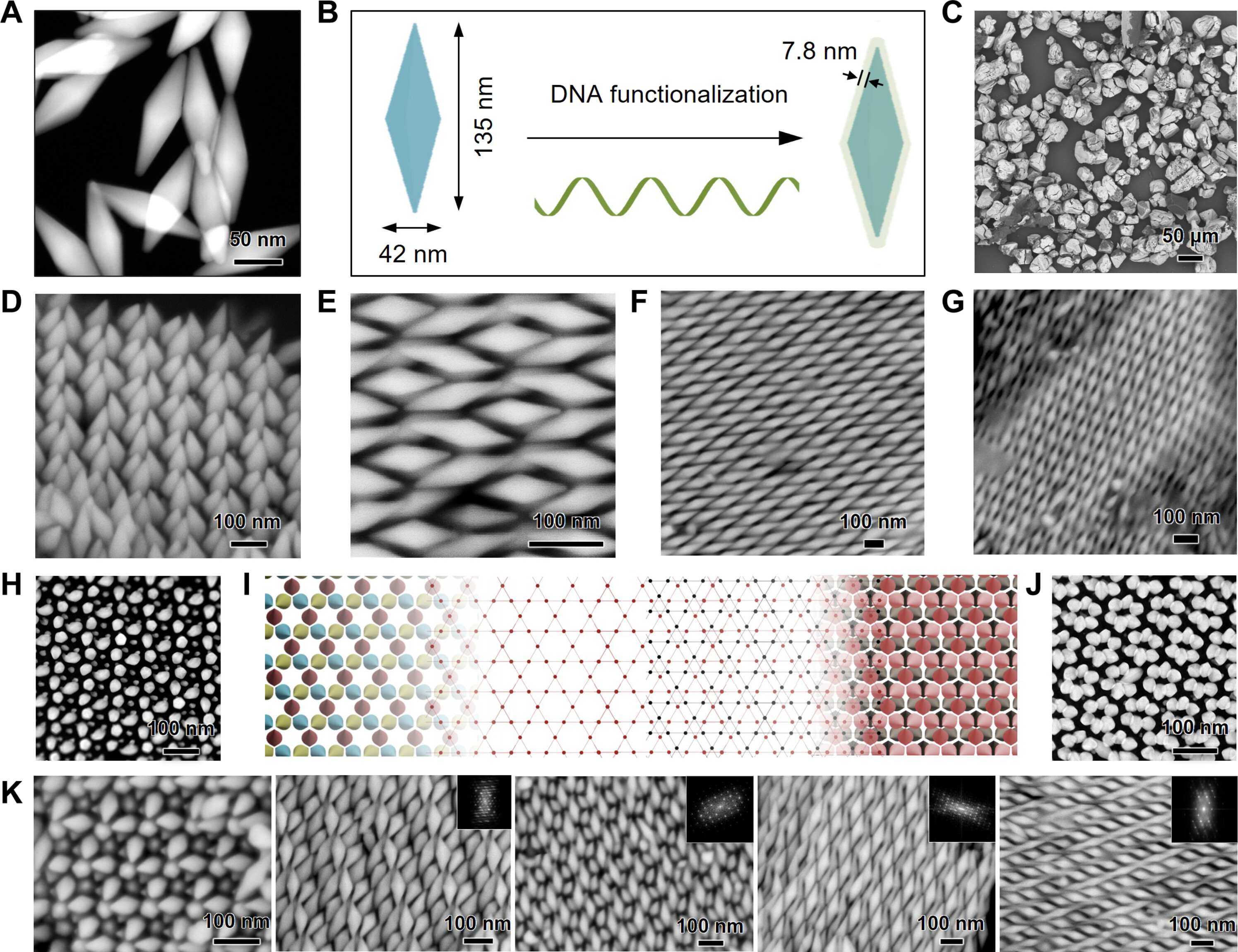 A sheet of DNA Functionalizatin