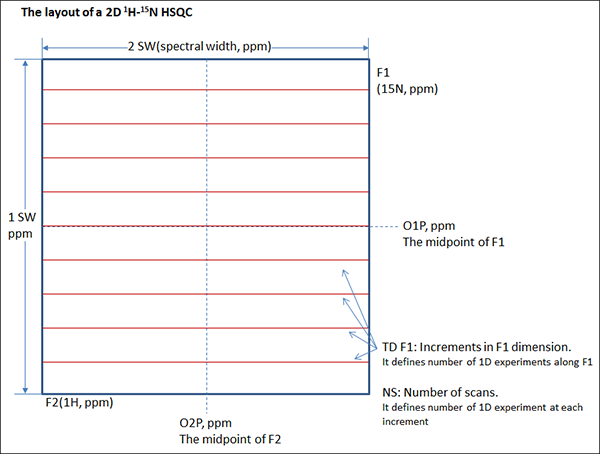 The layout of a 2D1H-15NHSQC