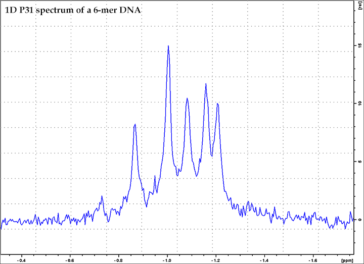 1D P31 Spectrum of a 6-mer DNA