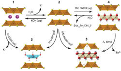Quantum materials consisting of a two dimensional layer composed of a square lattice
