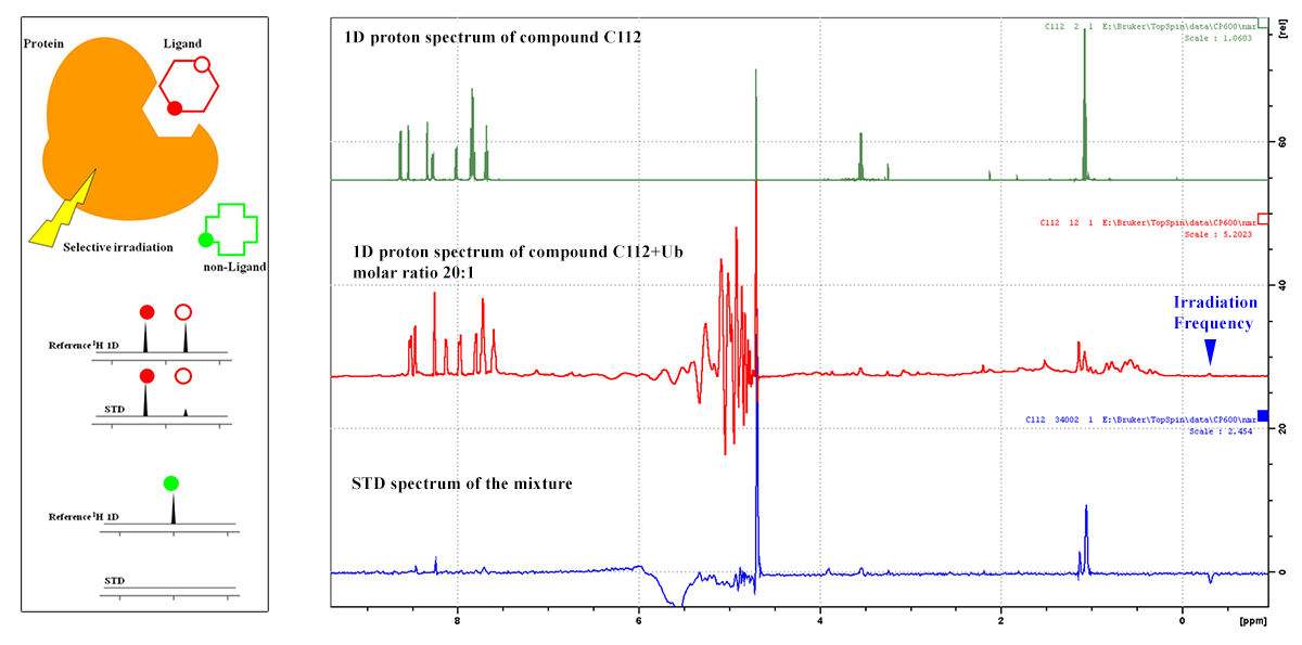 Saturation Transfer Difference (STD) spectrum data