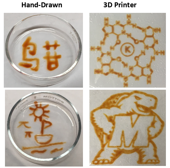 Chemical drawings, both hand-drawn and 3D printed, on a hydrogel material