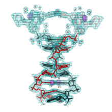 DNA self-assembly into crystals