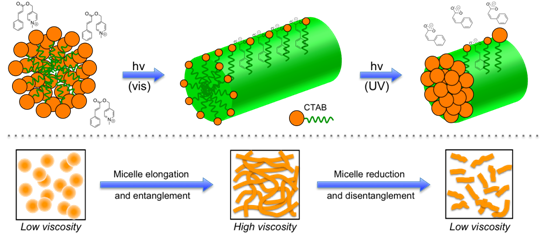 Conversion of spherical structures into elongated worm-like structures