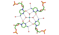 DNA assemblies