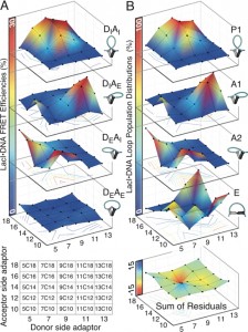 UV absorbance melting curves