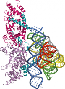 3D structure of protein