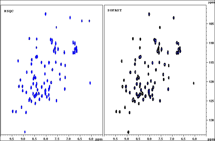 HSQC and SOFAST data