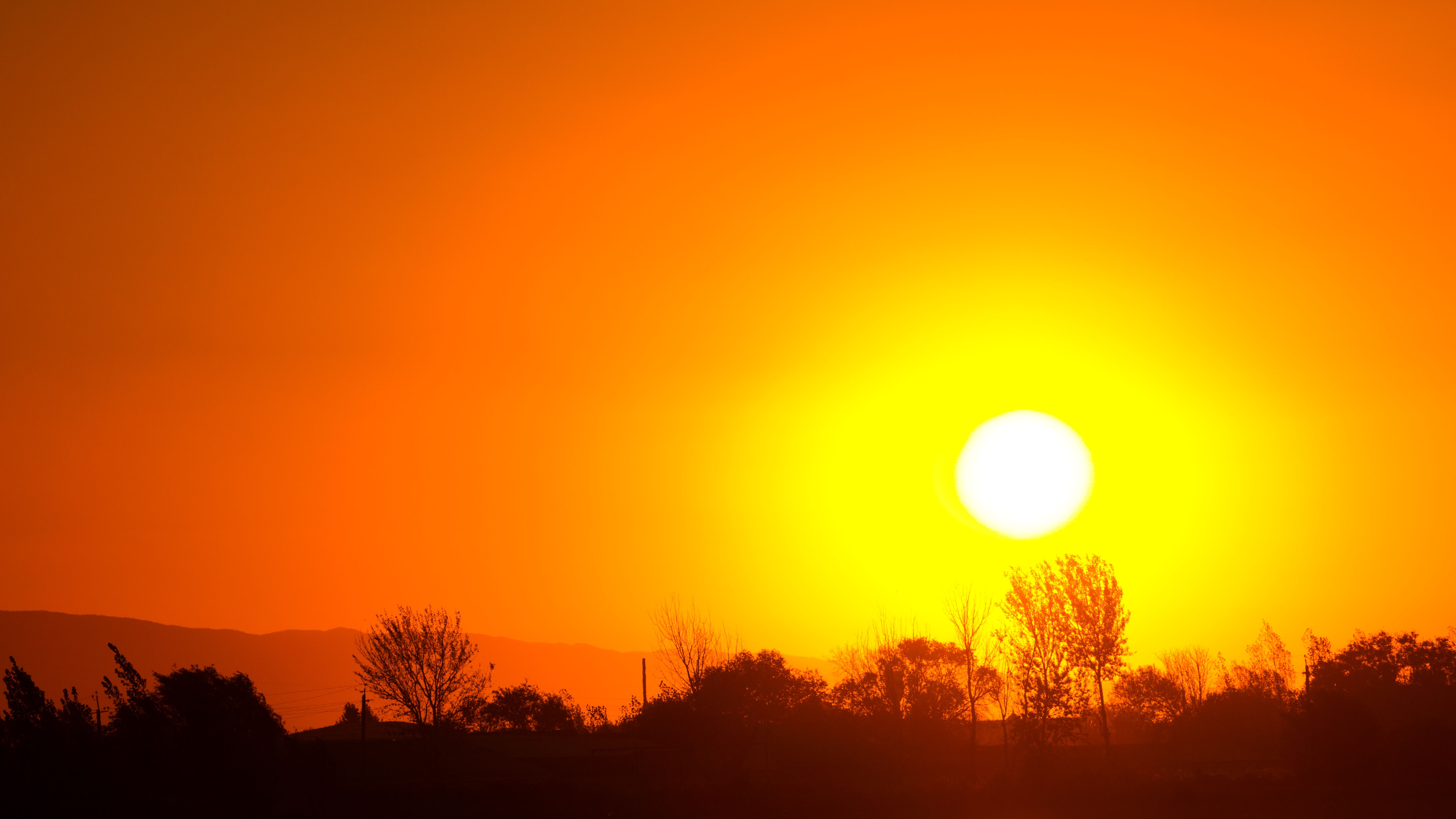 A bright sun casts a vivid orange sky above a landscape of trees.