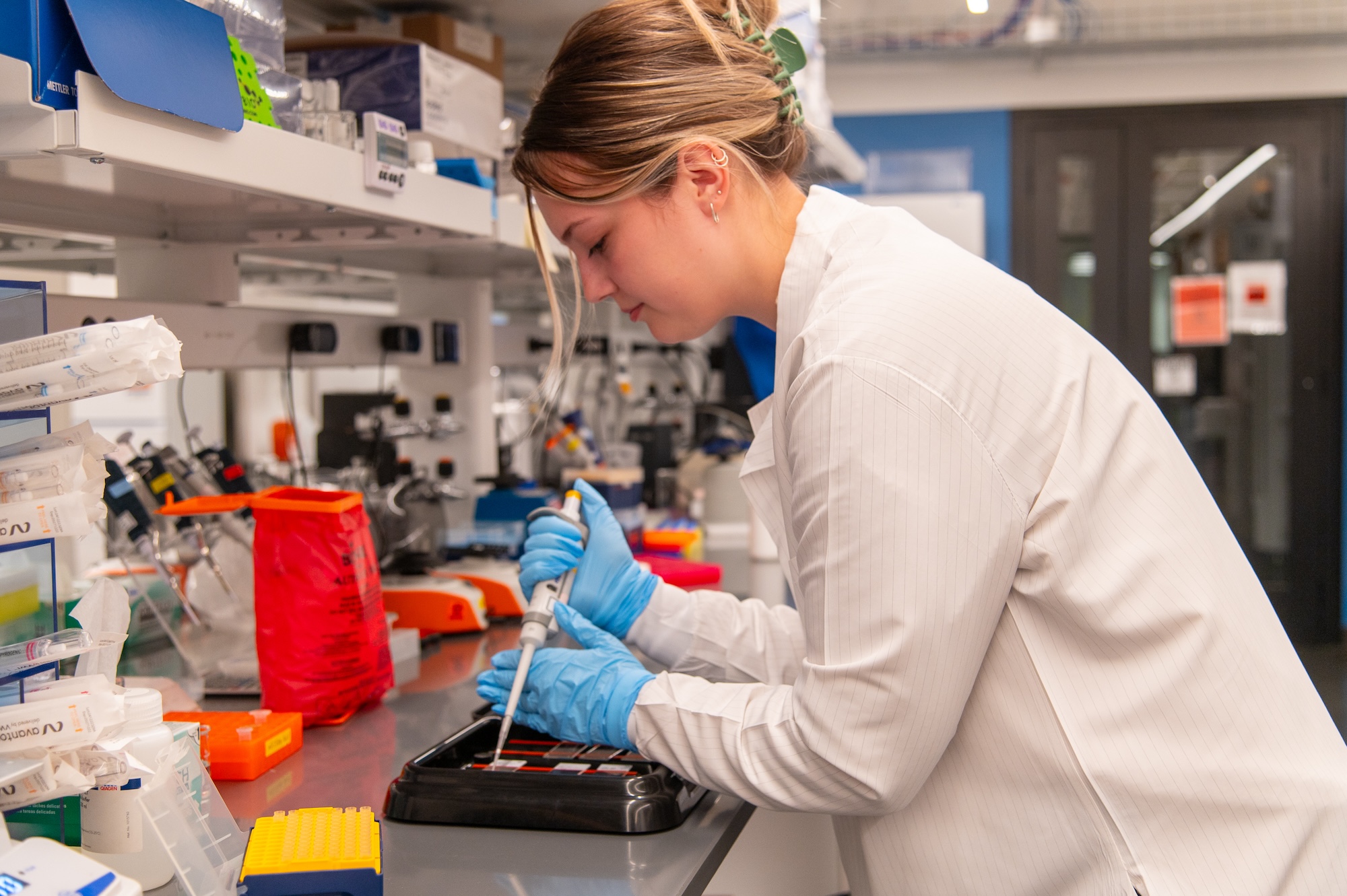 Aubrey Alexander uses a micropipette to prepare tissue samples from pre-clinical models for immunofluorescence staining