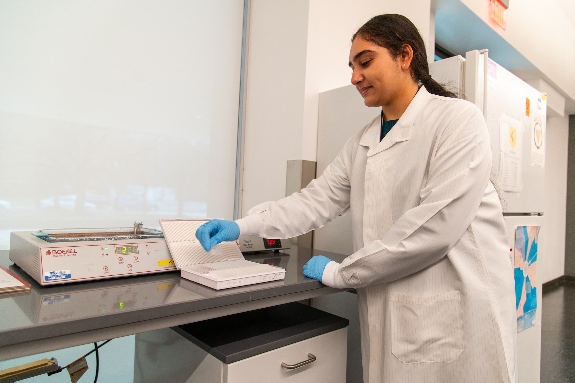Nandi Patel arranges prepared sections of tissue on microscope slides