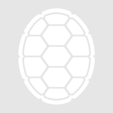 Placeholder photo of a white turtle shell for Lauren Logue