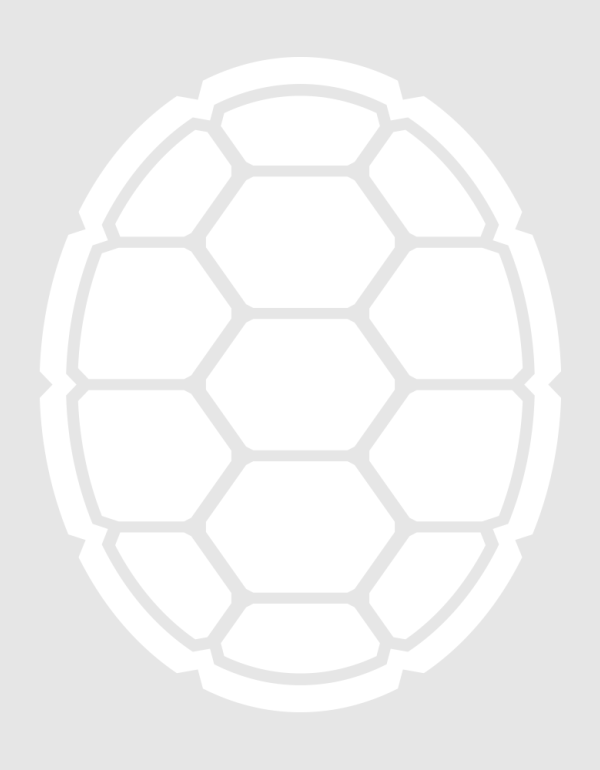 Placeholder shell image