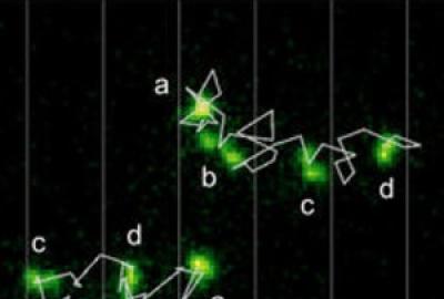 DNA molecule illustration