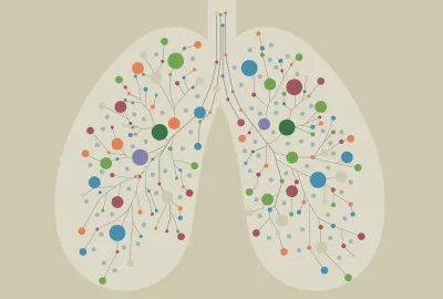 Lungs graphic stock image