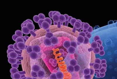 HIV molecule