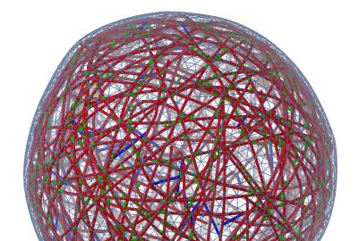 simulated model cytoskeleton