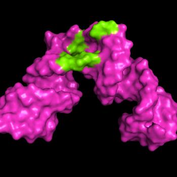 3D image of hepatitis RNA