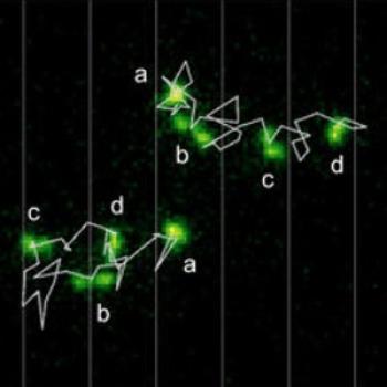 DNA molecule illustration