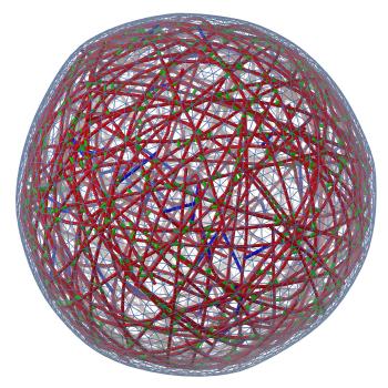 simulated model cytoskeleton