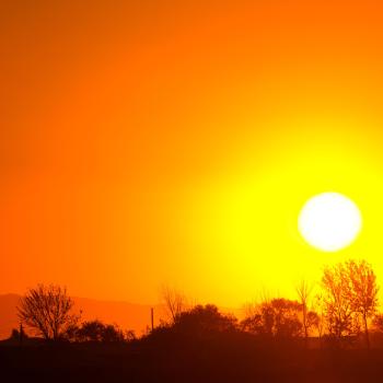 A bright sun casts a vivid orange sky above a landscape of trees.