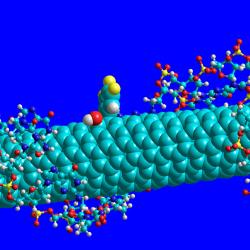 Molecular model