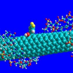 Molecular model of quantum sensor.