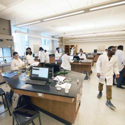 Students in a new chemistry lab