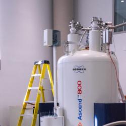 Large white Bruker Ascend 800 NMR magnet in a lab, with connected tubing and instruments; a yellow step ladder stands beside it.